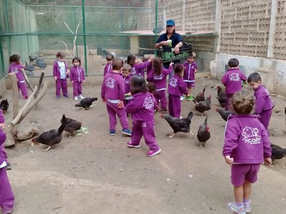 Escuela Infantil MiCole de Vegueta